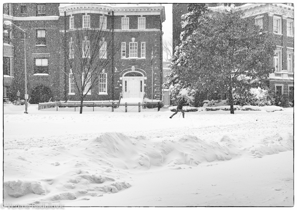 Snowzilla 2016, Washington, D.C.